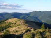 Буркут (1901&nbsp;г.)